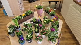 20260325_113347-kopiowanie-jpg1776848312